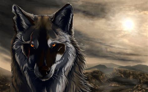 Cool Hd Wolf Wallpapers Wolf Wallpaperspro