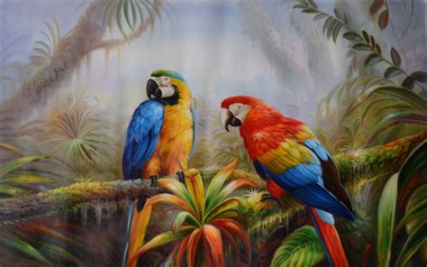 Jungle Parrot Exotic Birds Pictures Download Hd Wallpaper
