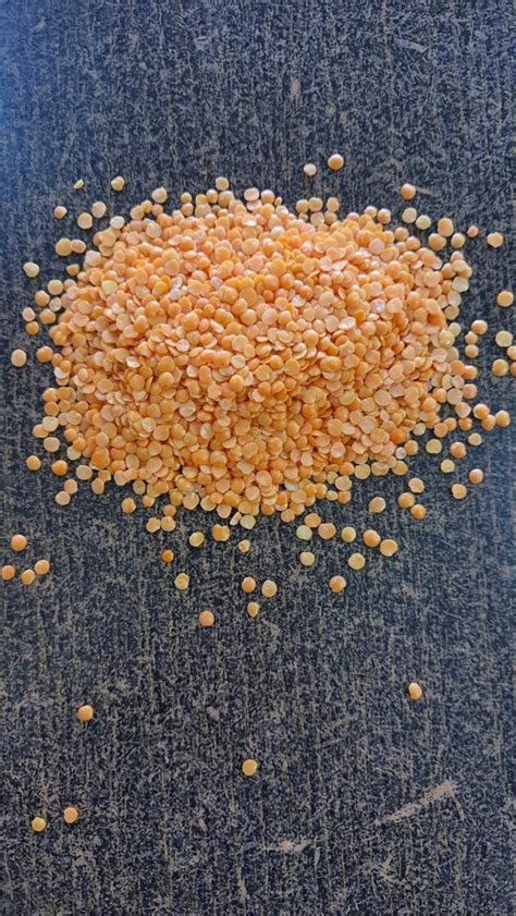 Red Masoor Dal High In Protein Packaging Size 50 Kg At Rs 81kg In Latur