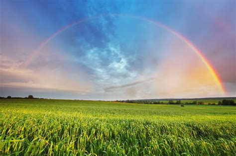 How Is A Rainbow Formed - 28 Matching Articles | Popular Science