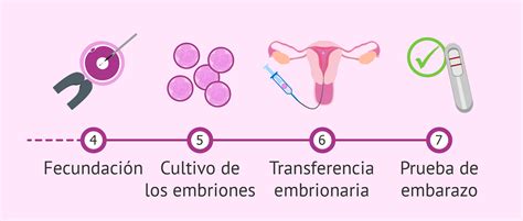 Transferencia Embrionaria En Ciclo Natural Ventajas E