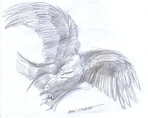 Aguila A Lapiz Drawing Dibujos Lapiz
