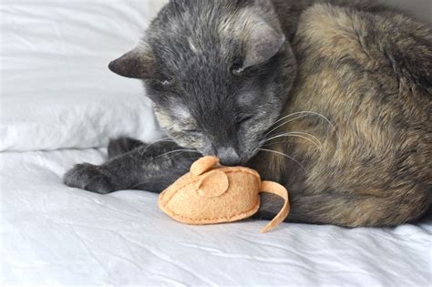 Adorable stuffed animal sewing patterns, cute soft toy patterns and lovely apron patterns from sew c. Free Hand Sewing Pattern for a Catnip Mouse Cat Toy