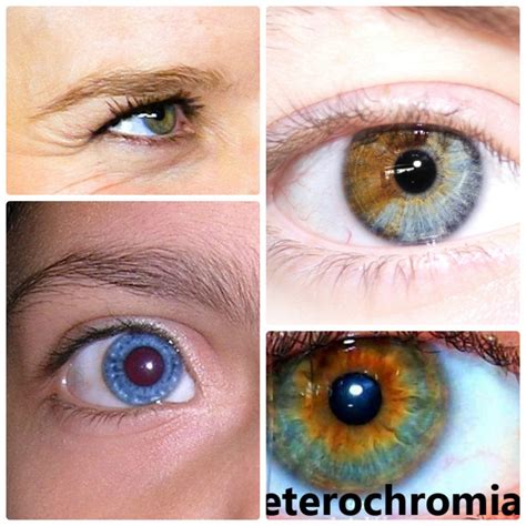 6 Rare And Unique Eye Colors Owlcation