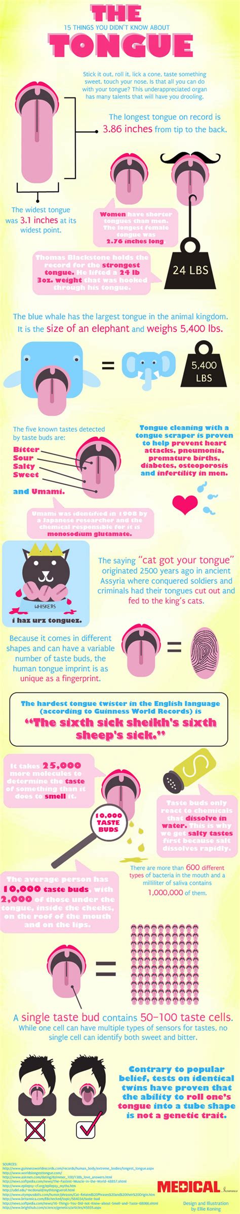 15 Things You Didnt Know About The Tongue