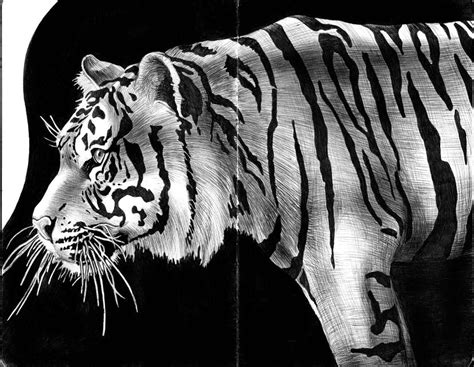 Pen was introduced in scratch 1.0. Artist: Tim Jeffs | Animal drawings, Ink pen drawings, Pet ...