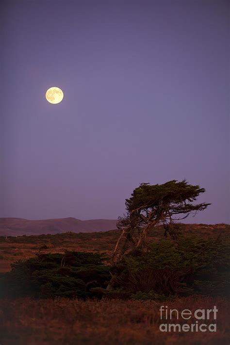 California Moon Photograph By Diane Diederich Pixels
