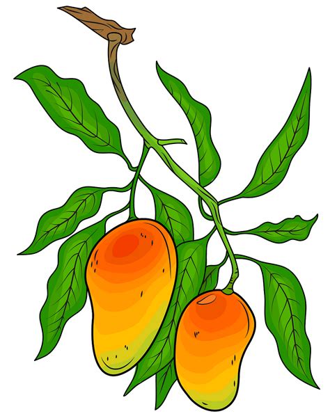 Jpeg and png files are available. Mango clipart branch, Mango branch Transparent FREE for ...