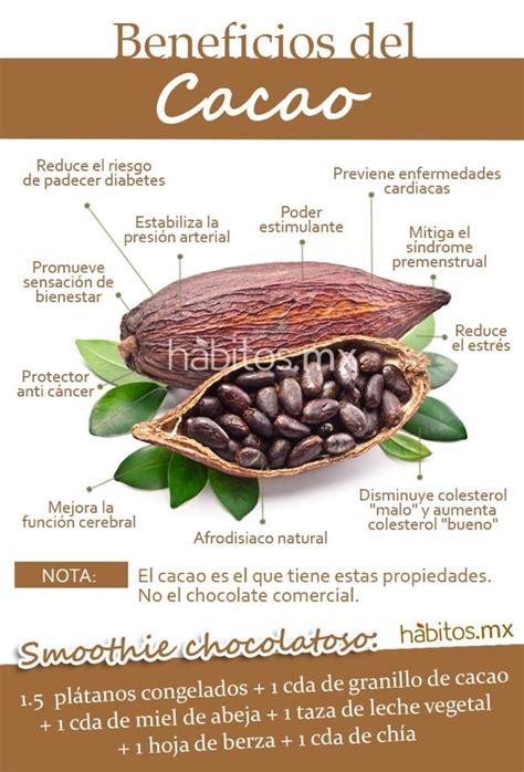 Beneficios Del Cacao Cacao Benefits Health And Nutrition Health Food