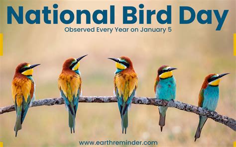 National Bird Day 2023 Importance How To Celebrate Earth Reminder
