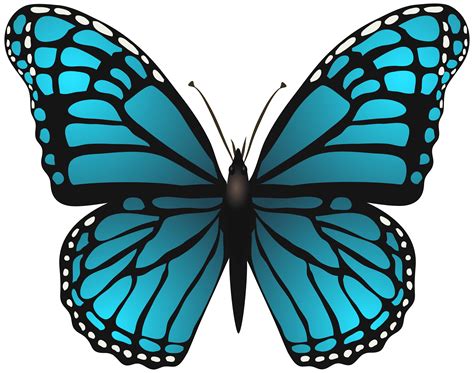 Large Butterfly Clipart 20 Free Cliparts Download Images On
