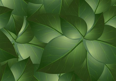 Green Leaf Background Vectors 79936 Vector Art At Vecteezy