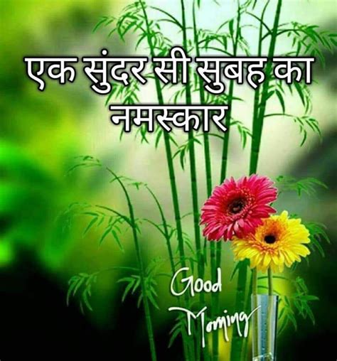Flowers Good Morning Images In Hindi Carrotapp
