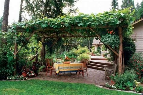 15 Stunning Grapevine Trellis Designs For Your Backyard Arbor