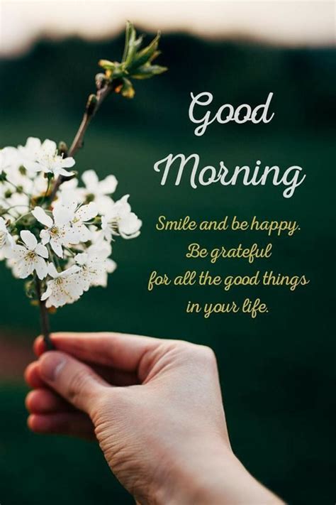 45 Best Good Morning Greetings Images Wishes Messages — Tailpic