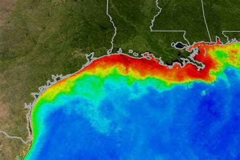 Scientists Forecast Larger Gulf Of Mexico ‘dead Zone For Summer 2020