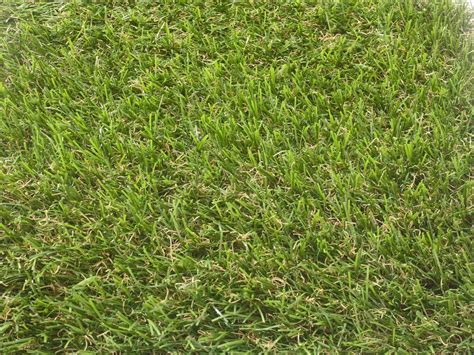 Our pet turf has a high rate of drainage and an odor control system so it's also awesome on patios, balconies and terraces to make. Artificial Grass And Pets - Becky's Business Reviews
