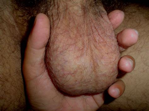 Nude Hairy Men With Big Balls