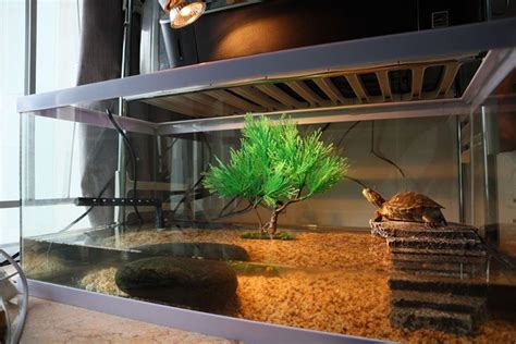 This turtle tank filter kicks off our list because it's absolutely fantastic and pretty darn affordable. The Best Turtle Tank to Buy in 2019 (5 Choices 100% WORKING!)