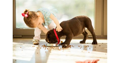 Feed the Pets | Easy Ways Kids Can Lend a Hand | POPSUGAR ...