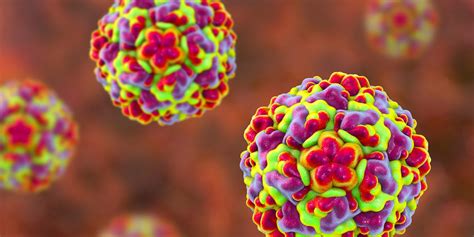 This is a most commonly occurring viral infection, affecting people. Viraal gegaan