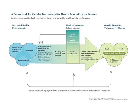 Framework For Gender Transformative Health Promotion Centre Of
