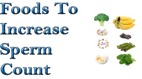 foods to increase sperm count easily and naturally youtube