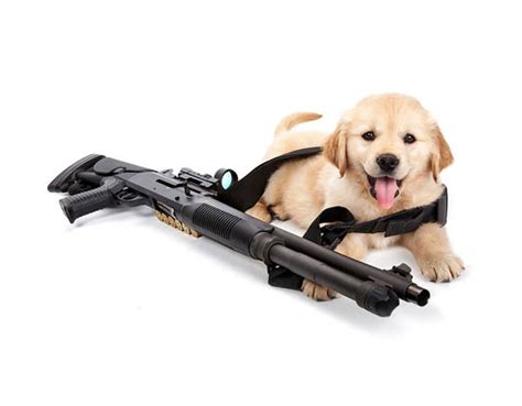 Should you pick stone cold killer or puppy pacifist mode with skippy in cyberpunk 2077, and should you give it back to regina during machine gun? "Puppies With Guns" Unusual 2015 Calendar Design - Design Swan