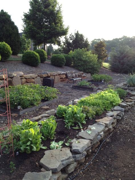 Vegetable Terraces With Boulder Retaining Walls Traditional Garden