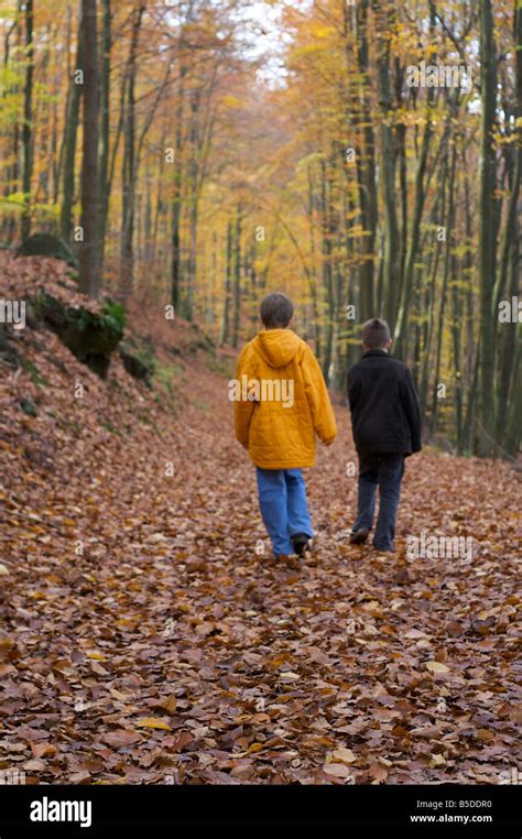 Two Children Walking On A Forest Trail Stock Photo