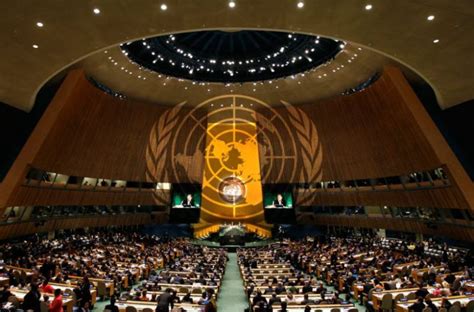Órganos Principales De La Organización De Las Naciones Unidas Onu