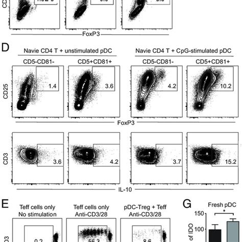 Cd5 Cd81 Pdcs Trigger T Cell Proliferation And Treg Generation A