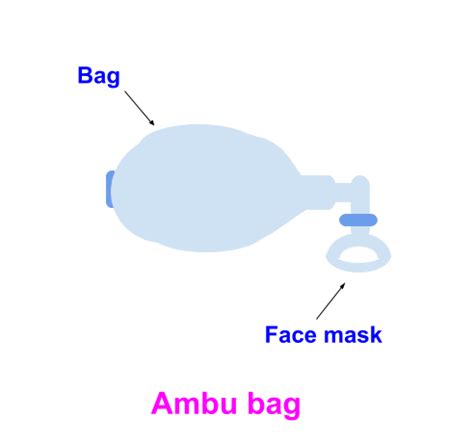 Ambu Bag All About Heart And Blood Vessels