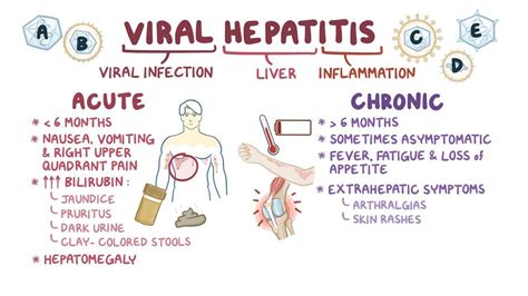 Viral Hepatitis Clinical Practice Osmosis