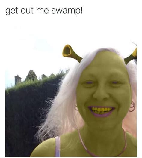 get out me swamp shrek swamp getting out puns funny pictures lol humor memes funny things