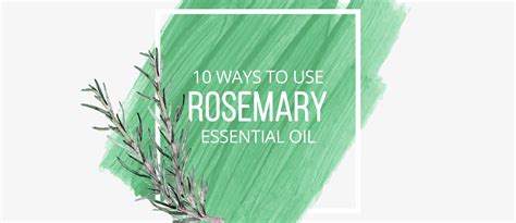 10 Ways To Use Rosemary Essential Oil By Lindsey Elmore Pharmd Bcps