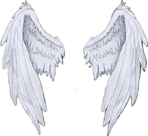 Angle Wings Drawing Drawing Angles Angel Drawing Drawing Poses