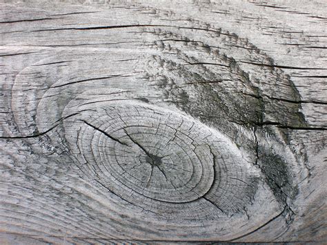 Tuto cours de dessin texture bois. Images Gratuites : arbre, Roche, planche, grain, texture ...
