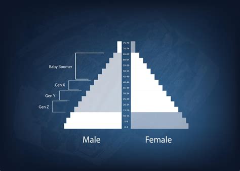types of population pyramids types of population pyramids planning tank there are three types