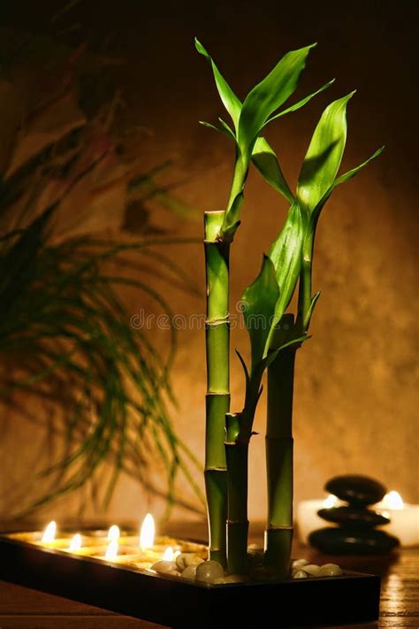 Zen Meditation Candles And Bamboo Plants Stock Photo Image Of Stems