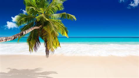 Free Download Tropical Beach Wallpapers Pictures Images 5360x3015 For