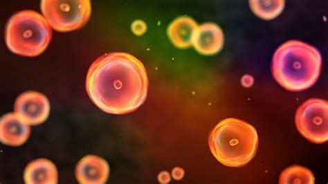 Color Cells Focus Stock Photo Download Image Now Istock