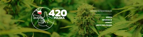 Najprostszy Mac And Cheese 420 Polska