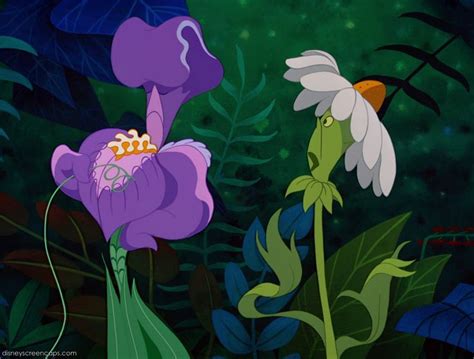The Flowers Alice In Wonderland Wiki Fandom Alice In Wonderland