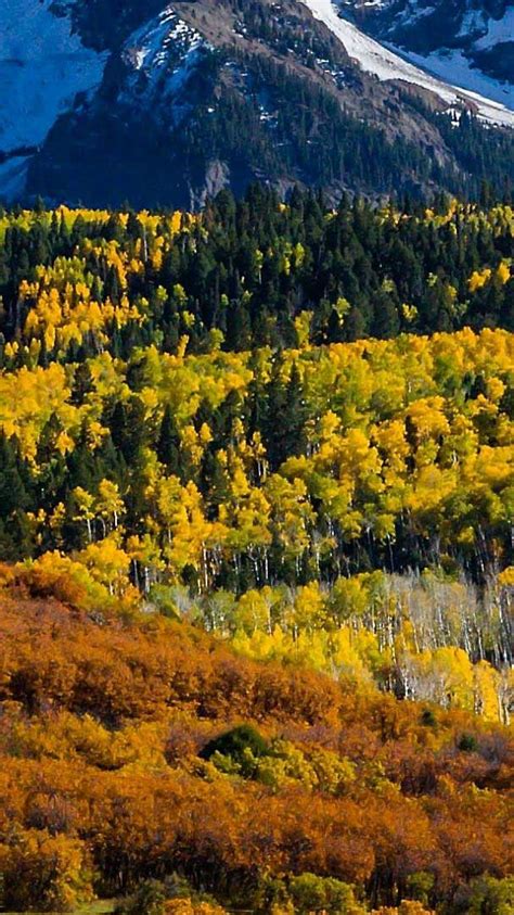 Iphone Wallpaper Mountain Landscape In Aspen Colorado Wallpaper Hd