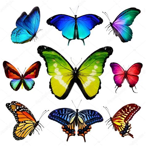 Много различных летящих бабочек, изолированных на белом фоне — Стоковое ...