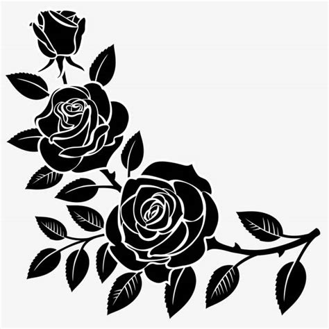 Black And White Rose Illustrations Royalty Free Vector Graphics And Clip