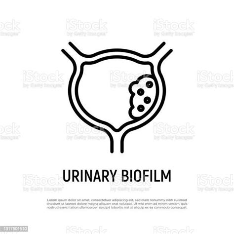 Urinary Biofilm Thin Line Icon Urinary Tract Infection Vector Illustration Stock Illustration