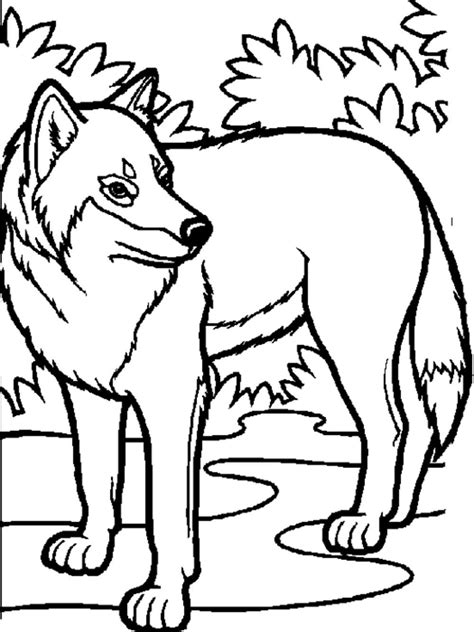 Wolf Pack Coloring Pages Coloring Home