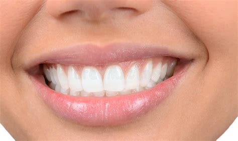 Beautiful Teeth Stock Image Image Of Human Healthy 31490877